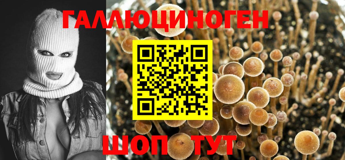 Галлюциногенные грибы мухоморы Кемерово